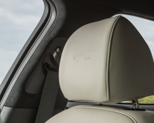 Kia Stinger blue details  (31)